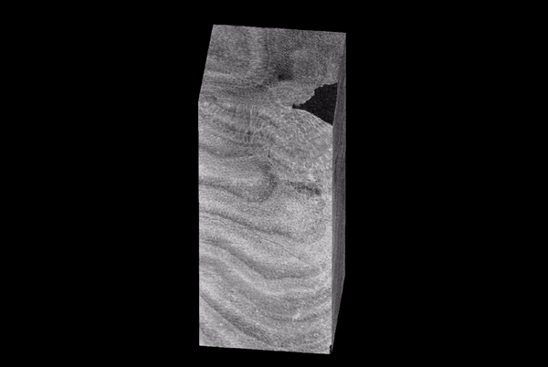 A rotating image of a section of coral core shows all of its inner layering.