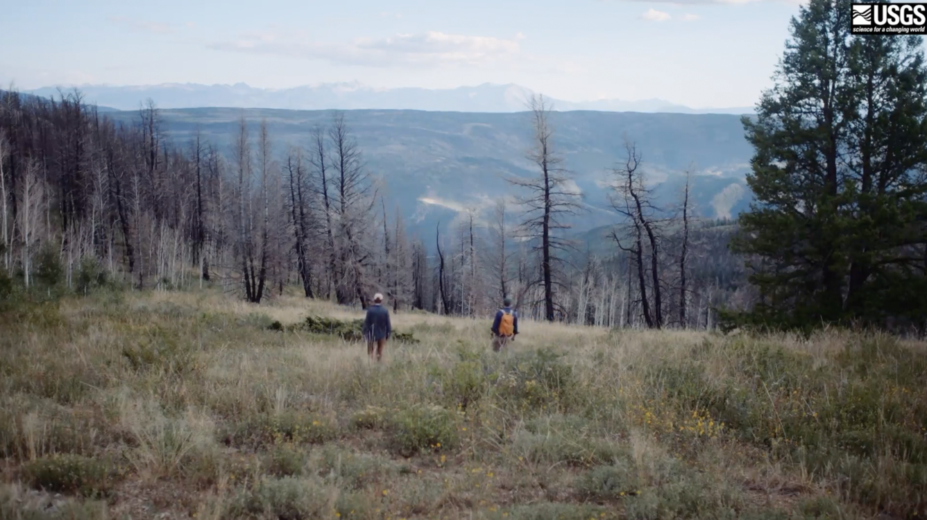 Two scientists walking on a slope observing a burn area in Glenwood Springs, Colorado. 