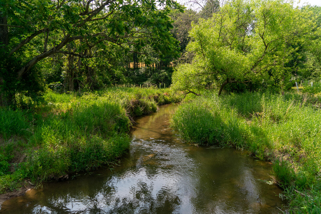 Riparian Assessment in Orson, Pennsylvania
