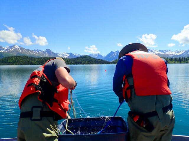 Two National Park Service biologists wearing floatation vest fishing in boat for lake trout. 