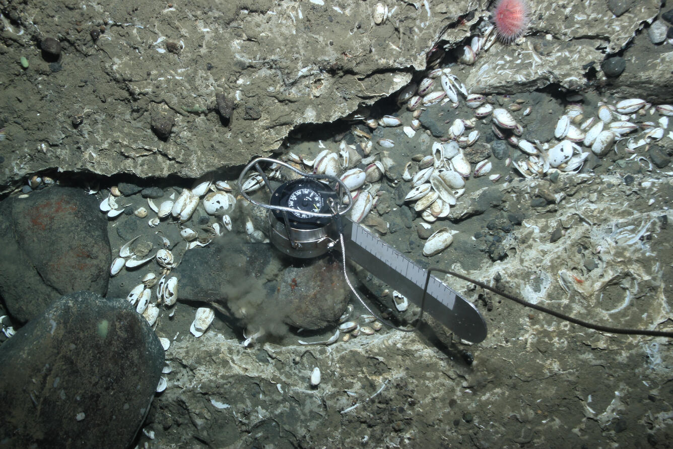 Photo of instrument at deep-sea methane methane seep