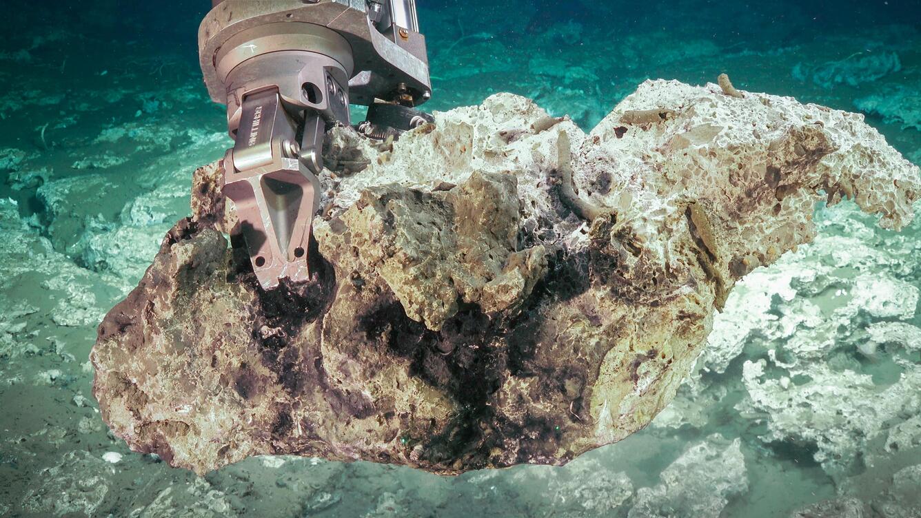 Photo of deep-sea carbonate sample