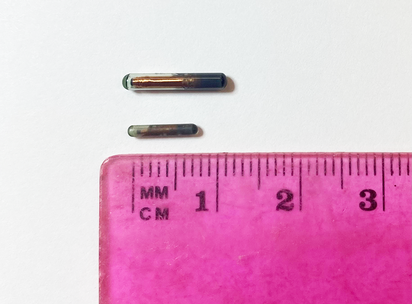8- and 12-millimeter sized PIT tags