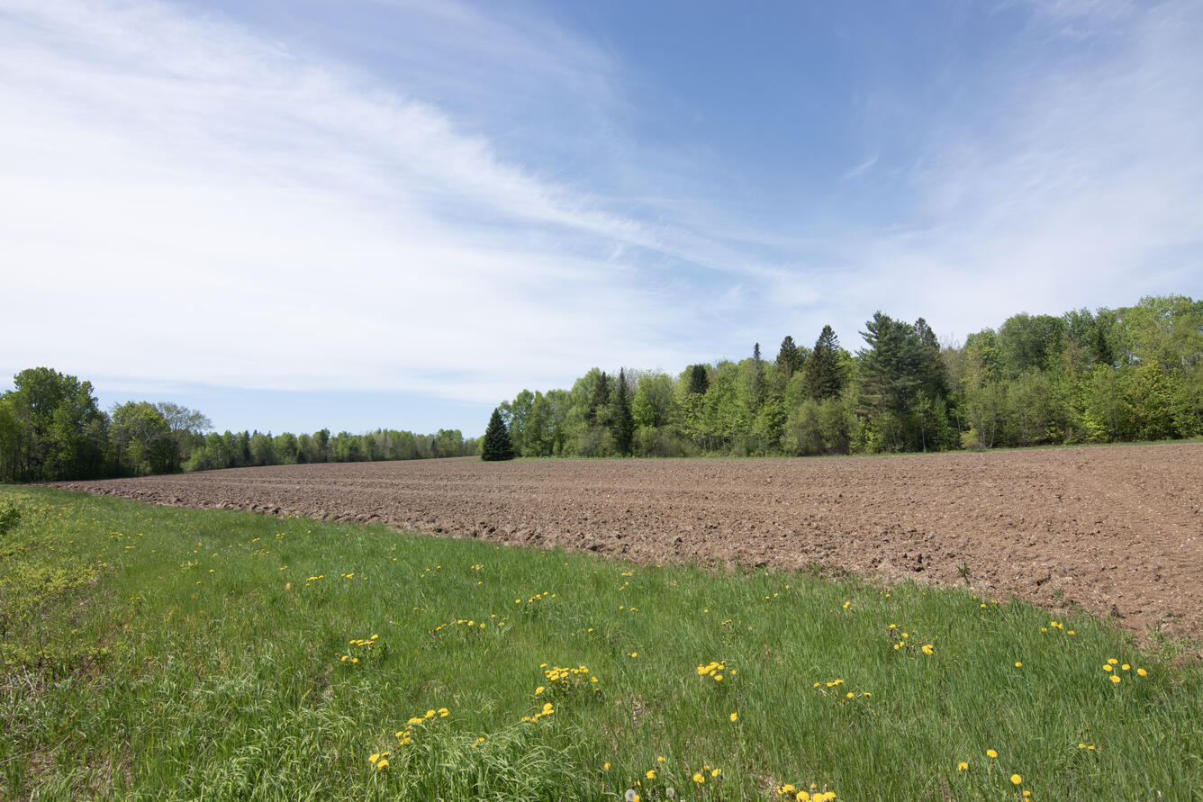 Tilled field with forest in background