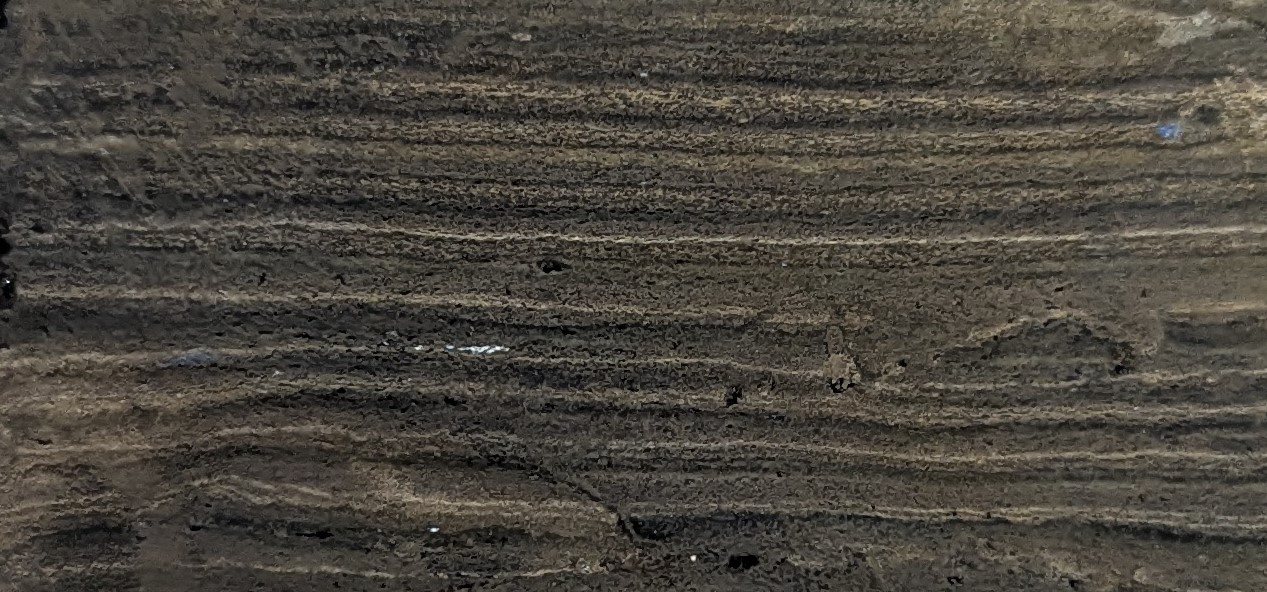 Close up of freeze core sediment layers