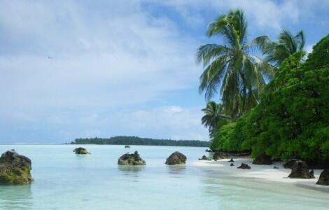 Palm trees line a white sand beach surrounded by clear blue water. Moss-covered black boulders litter the beach.