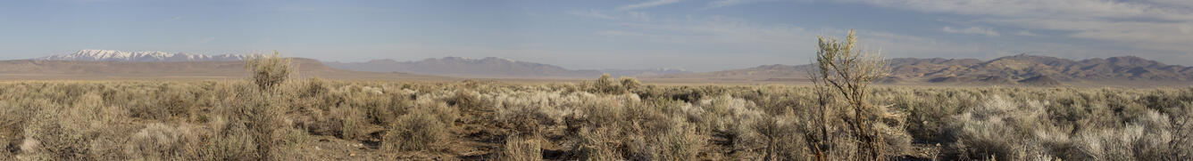 panoramic photo of sagebrush habitat with mountains and sky in background