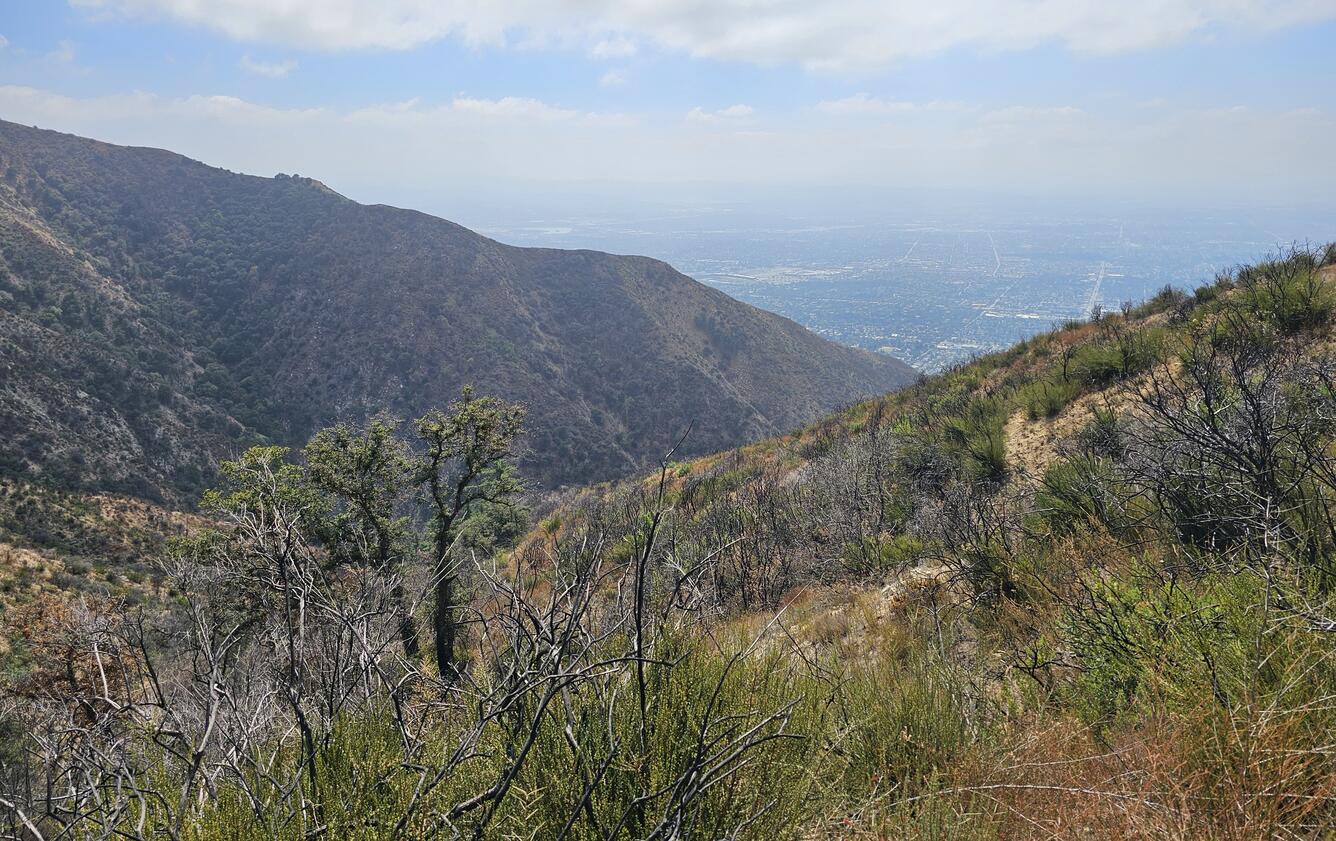 vegetation covered hillslopes