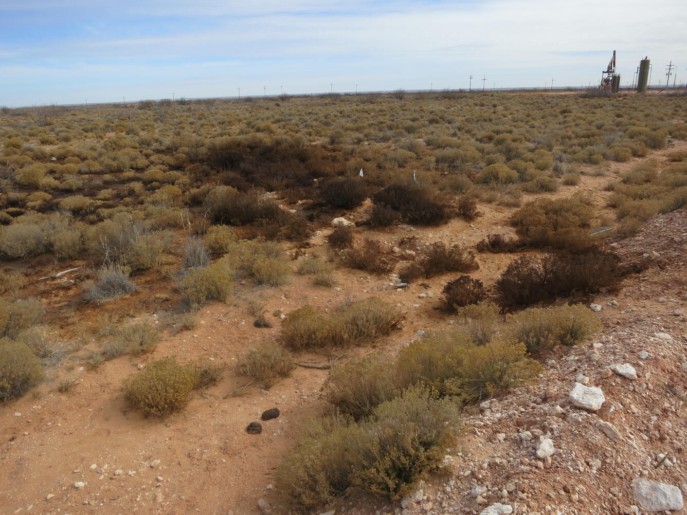 desert landscape showing an illegal oil and gas dumpsite on the horizon taken outside of Carlsbad, New Mexico. 