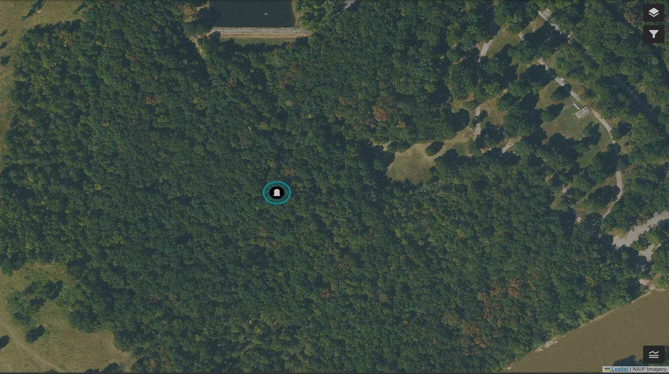 Phillips - Reeves Cemetery Aerial Photo