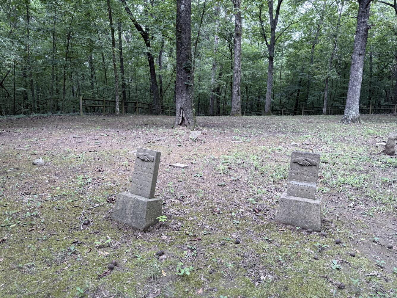 Phillips - Reeves Cemetery Ground View