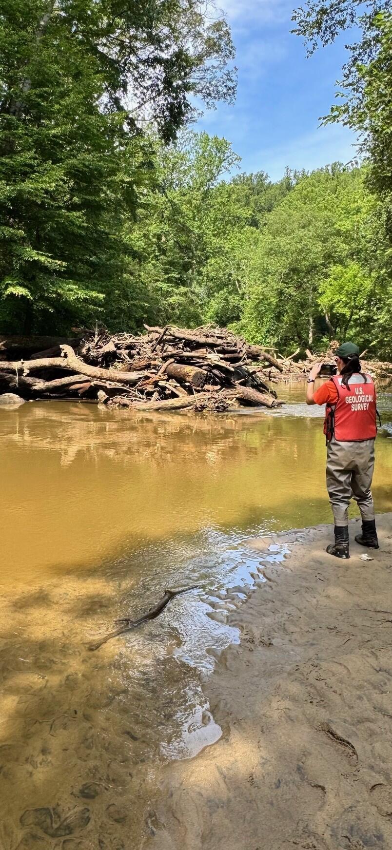 A hydrologic technician takes a photo of a pile of logs in a stream.
