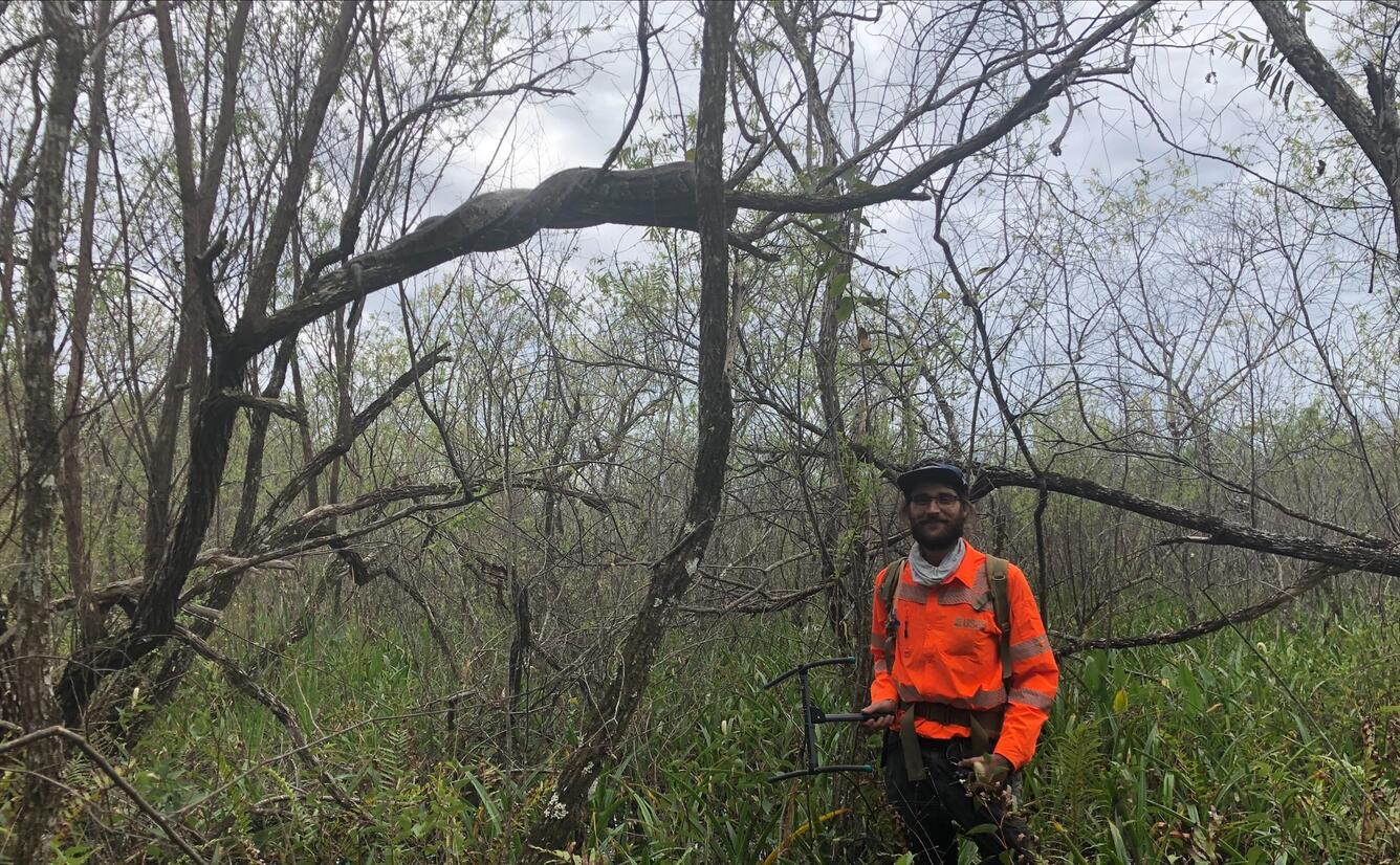 a man in bright orange shirt stands among grasses and bare trees, with a large python on a branch above