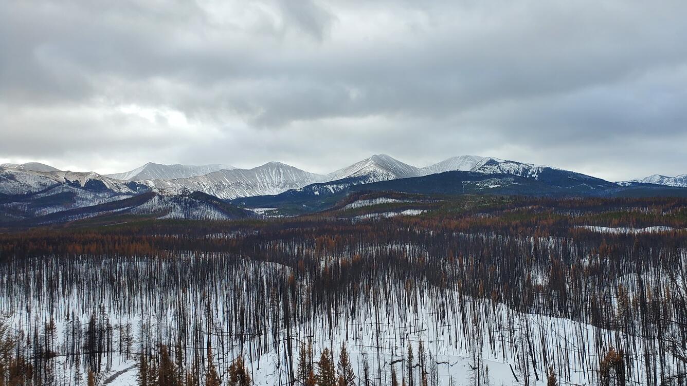 Amercian Fork Fire Burn Area