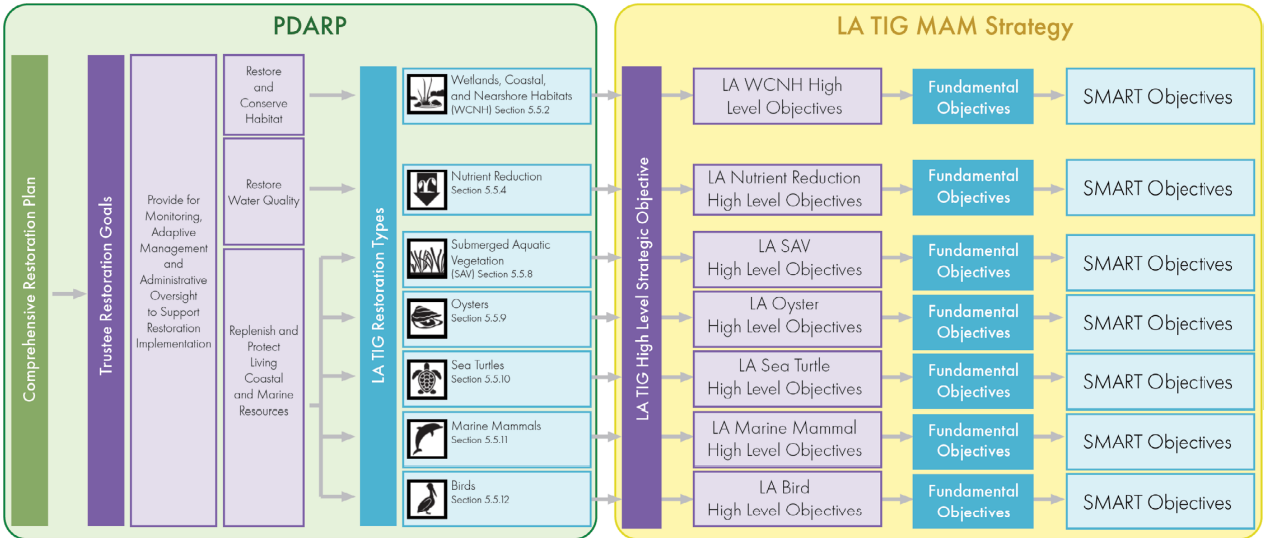 Framework for building the LA TIG MAM Strategy