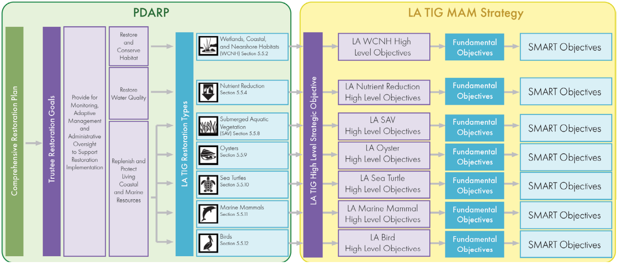 Framework for building the LA TIG MAM Strategy 