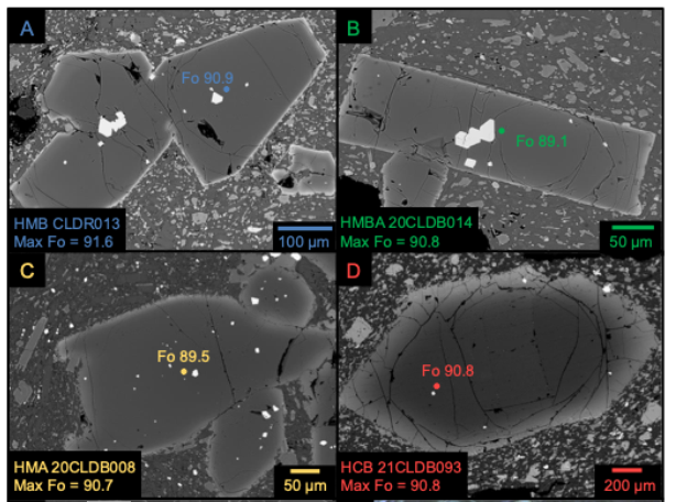 Four grayscale images of slices of angular crystals with bright rims and darker interiors, surrounded by flecks of light gray crystal fragments like confetti. Some of the crystals have bright white patches where inclusions exist, and some have dark cracks running through them. Colored text and dots show where chemical analyses were conducted with an electron beam