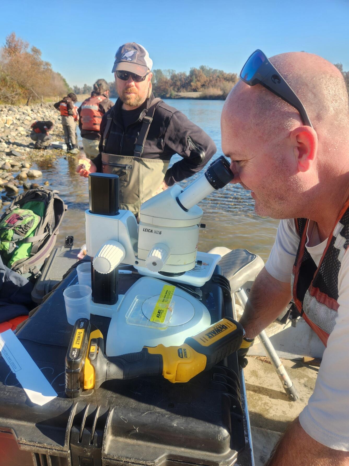 Man next to stream looking into microscope with people in the background conducting fieldwork