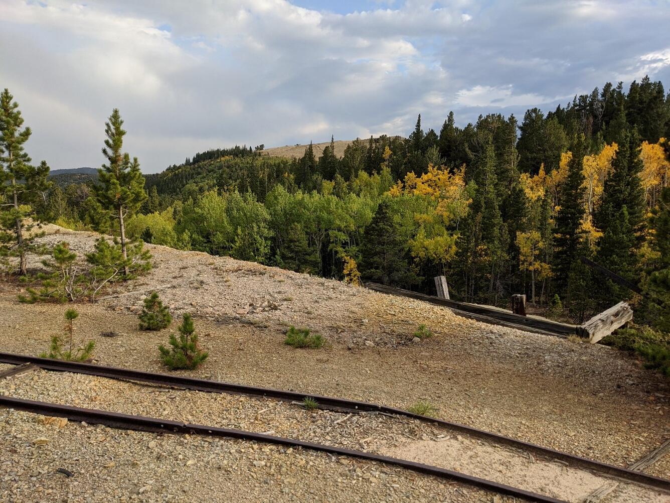 Image of a hillside with trees in background