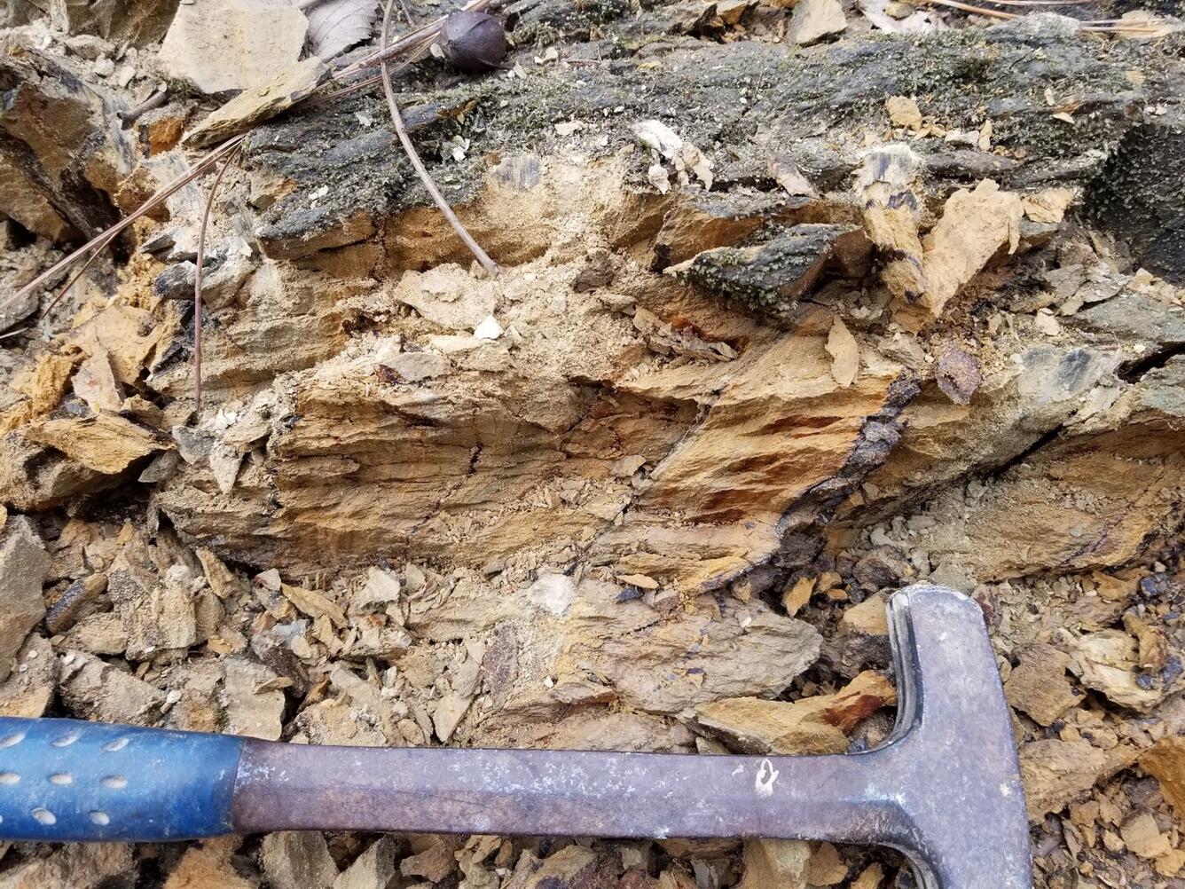 CH-38 bedding-cleavage relations