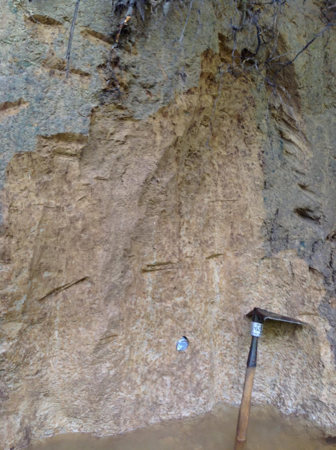WR-14 OSL sample site in relation to three potential paleoliquefaction dikes 