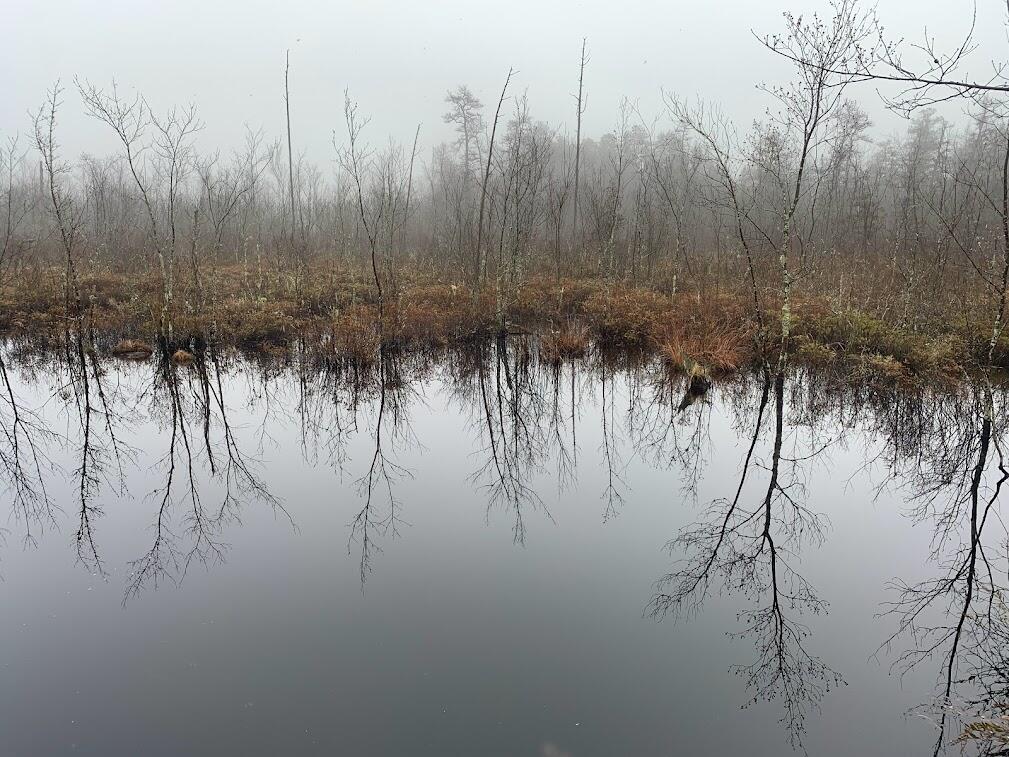 Looking across calm water at fall landscape of barren trees reflected in the river