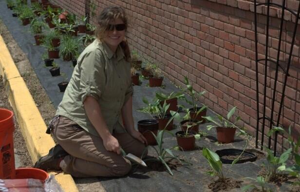 WARC staff plant native prairie species in flower bed at Lafayette location