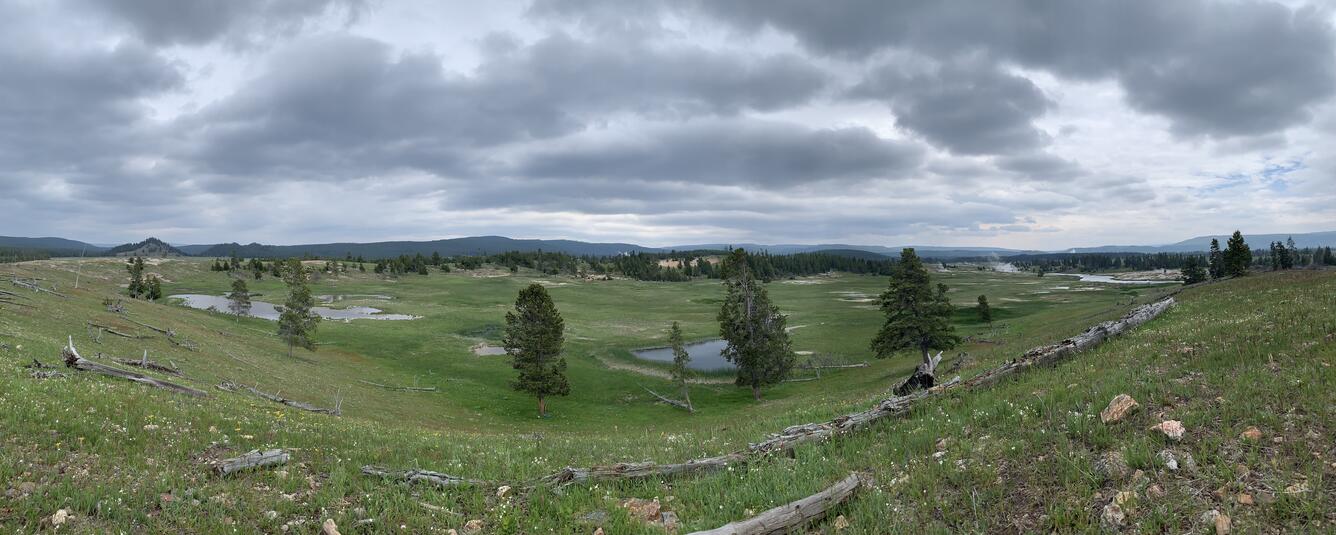 Grassy bowl-like valley, with a few sporadic trees and pools of water. Dark clouds cover the sky.