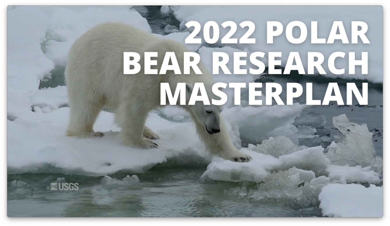 Polar bear on ice with text reading 2022 Polar Bear Research Masterplan