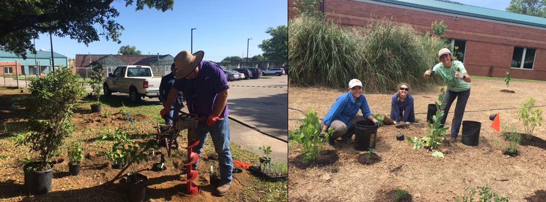 WARC staff plant a pollinator garden using native coastal prairie species at the Lafayette, LA location
