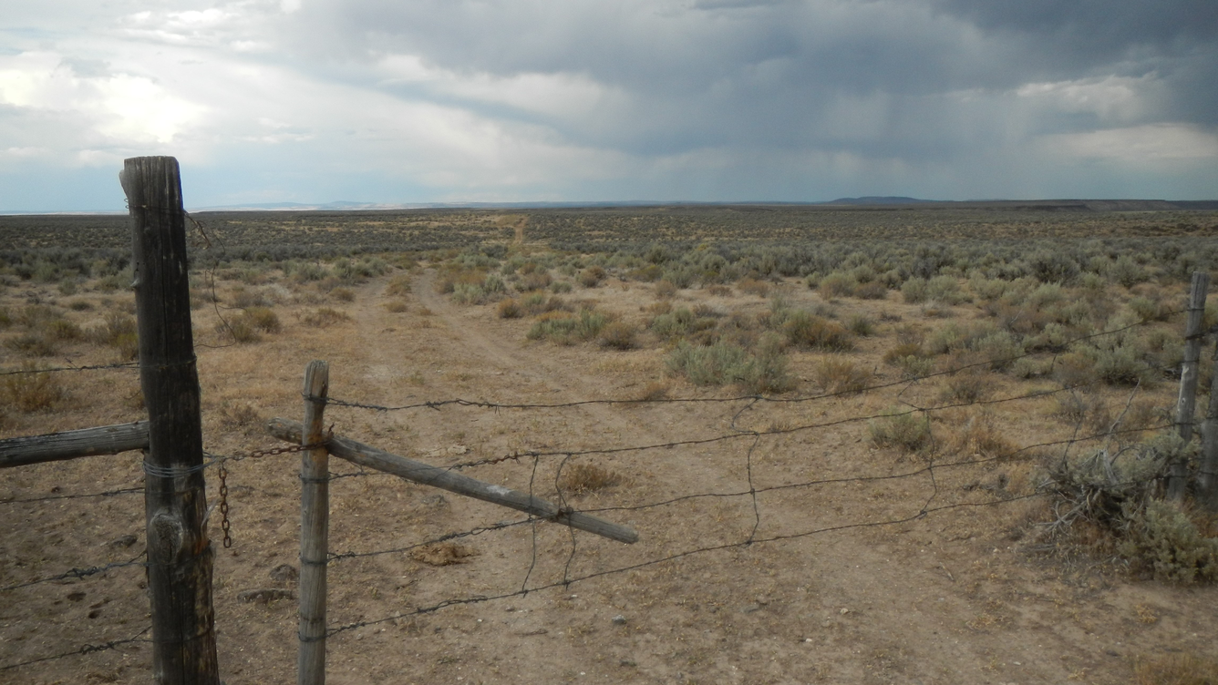 landscape image of a dessert grassland with rain storms in the distance