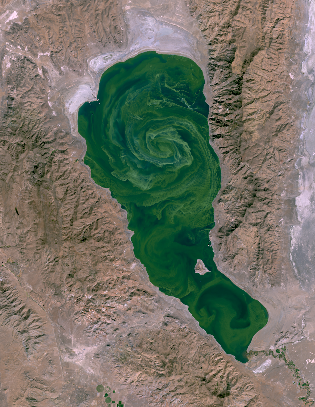 A satellite picture of a lake with an algae swirl