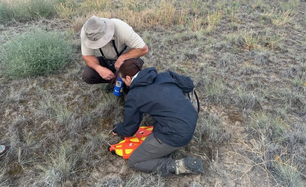 two people in hiking gear stare at the ground, grasses and shrubs on the ground