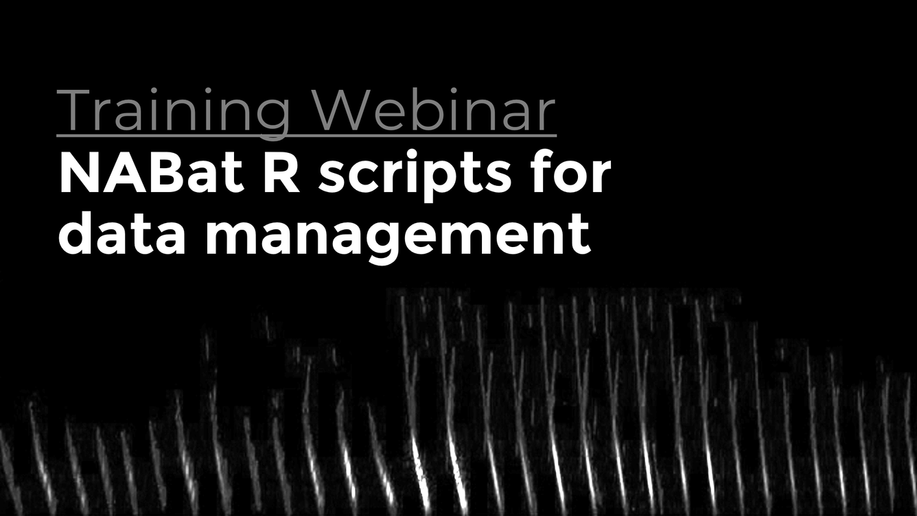 Black background with the text "Training Webinar: NABat R scripts for data management" in white text. 