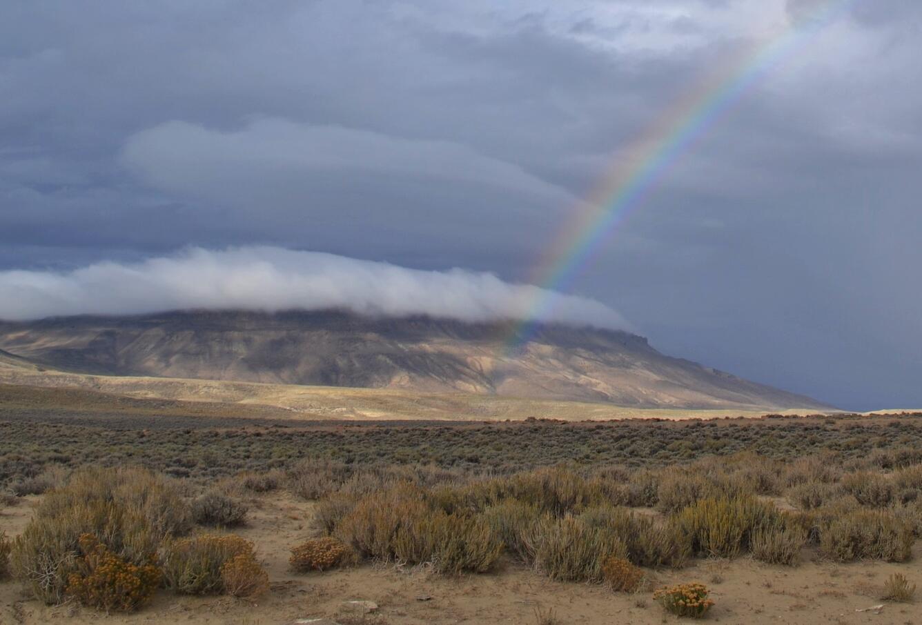 photo of sagebrush field, rainbow, mountain with dark clouds