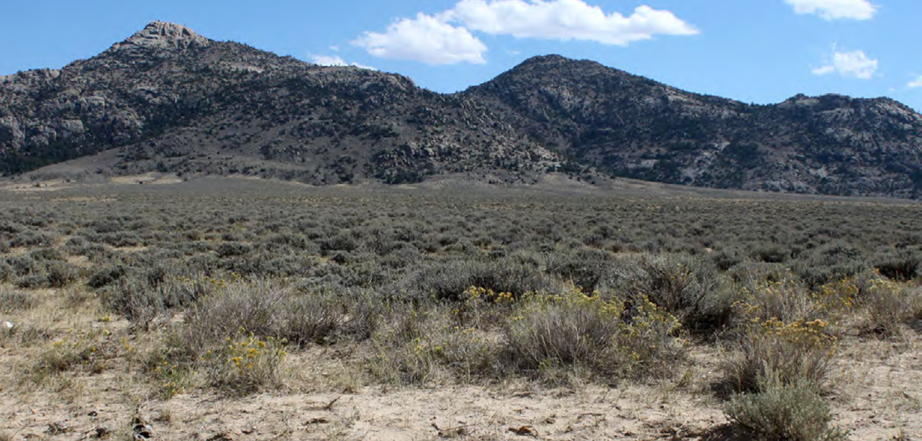 Grass and shrubland with hilly terrain in the background