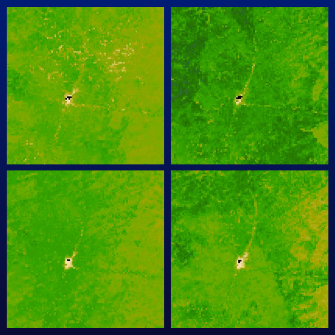 Image of four different models using Landsat, SAR, and EMIT data