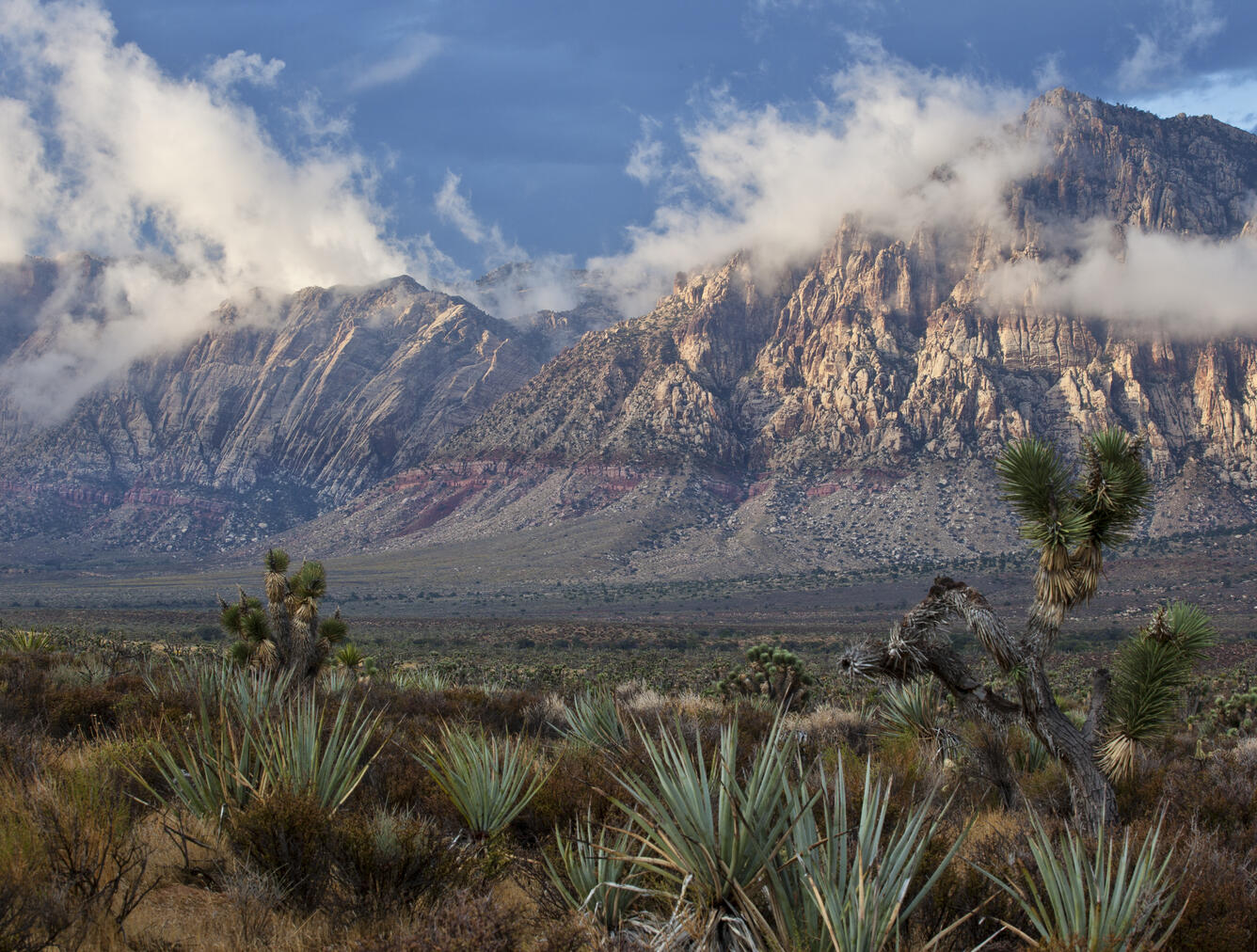 large brown mountains with reddish stripe intermix with clouds, desert plans in the foreground