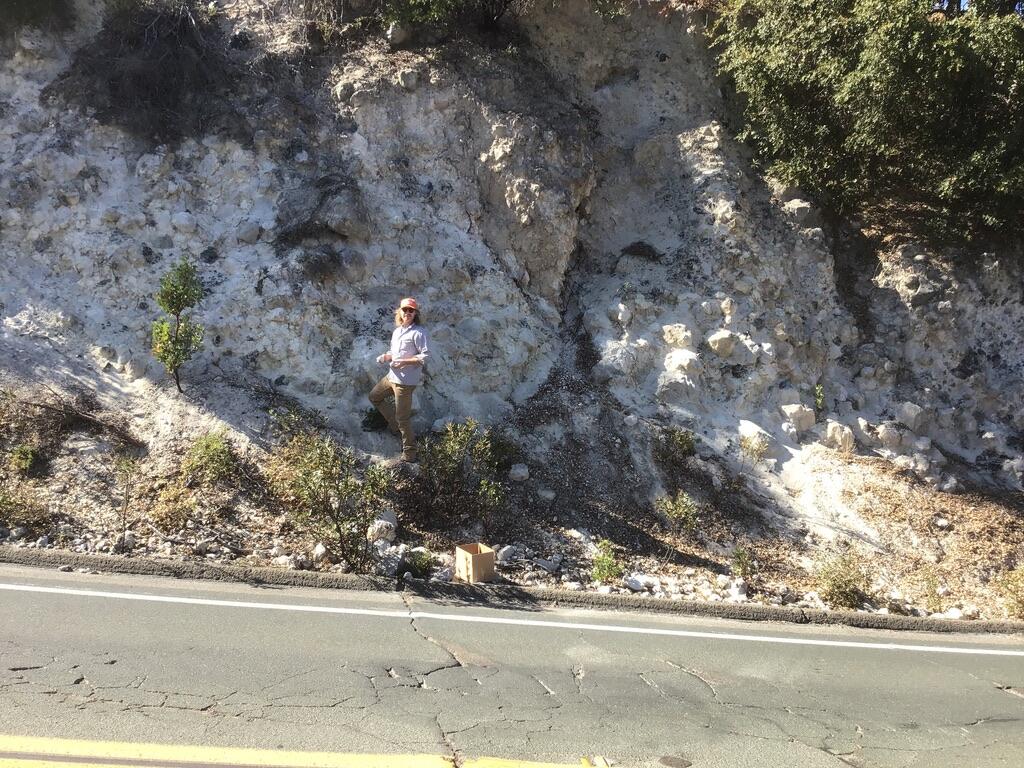 A male geologist in an orange hat stands on next to a cliff of white, powdery rock on the side of a road. 