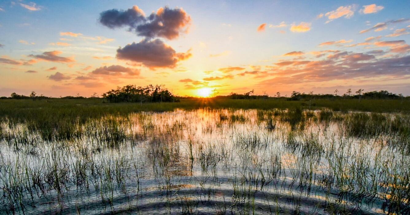 Ripple NPS 2021 Photo Contest