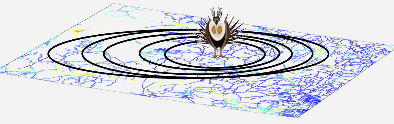 Illustration of a male Greater Sage-Grouse on top of a horizontal map of roads in Wyoming