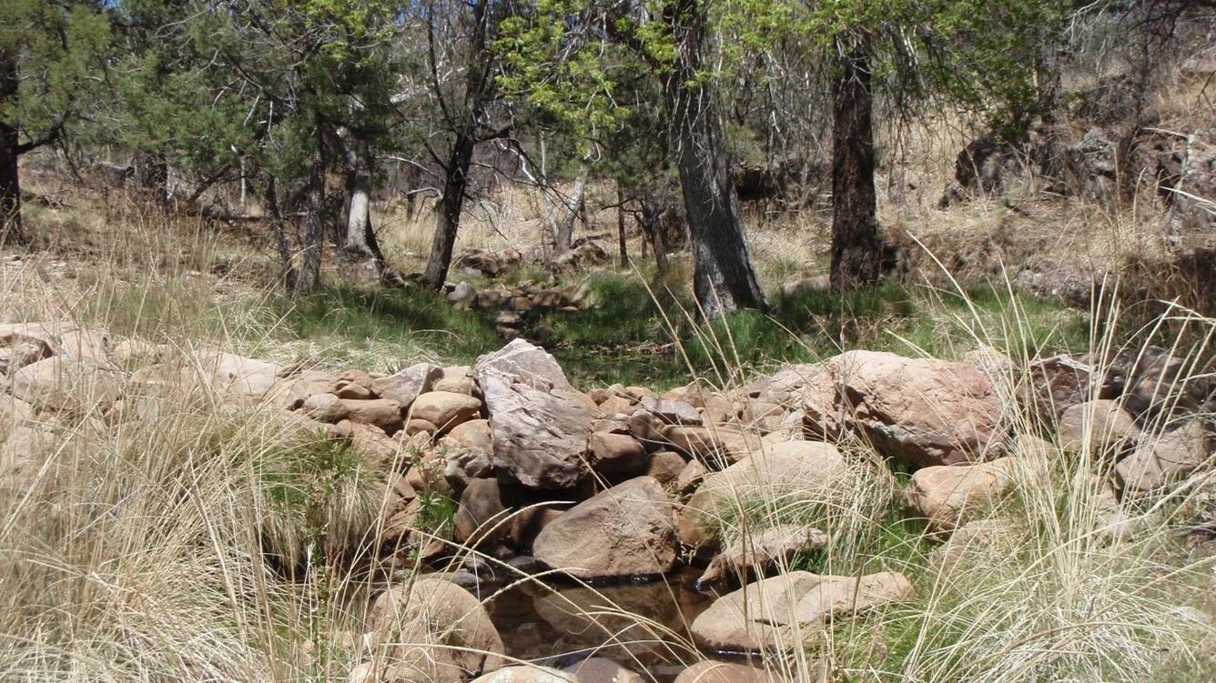 Rock detentions structures installed as natural infrastructure in dryland streams (NIDS); photo by Laura M. Norman, USGS