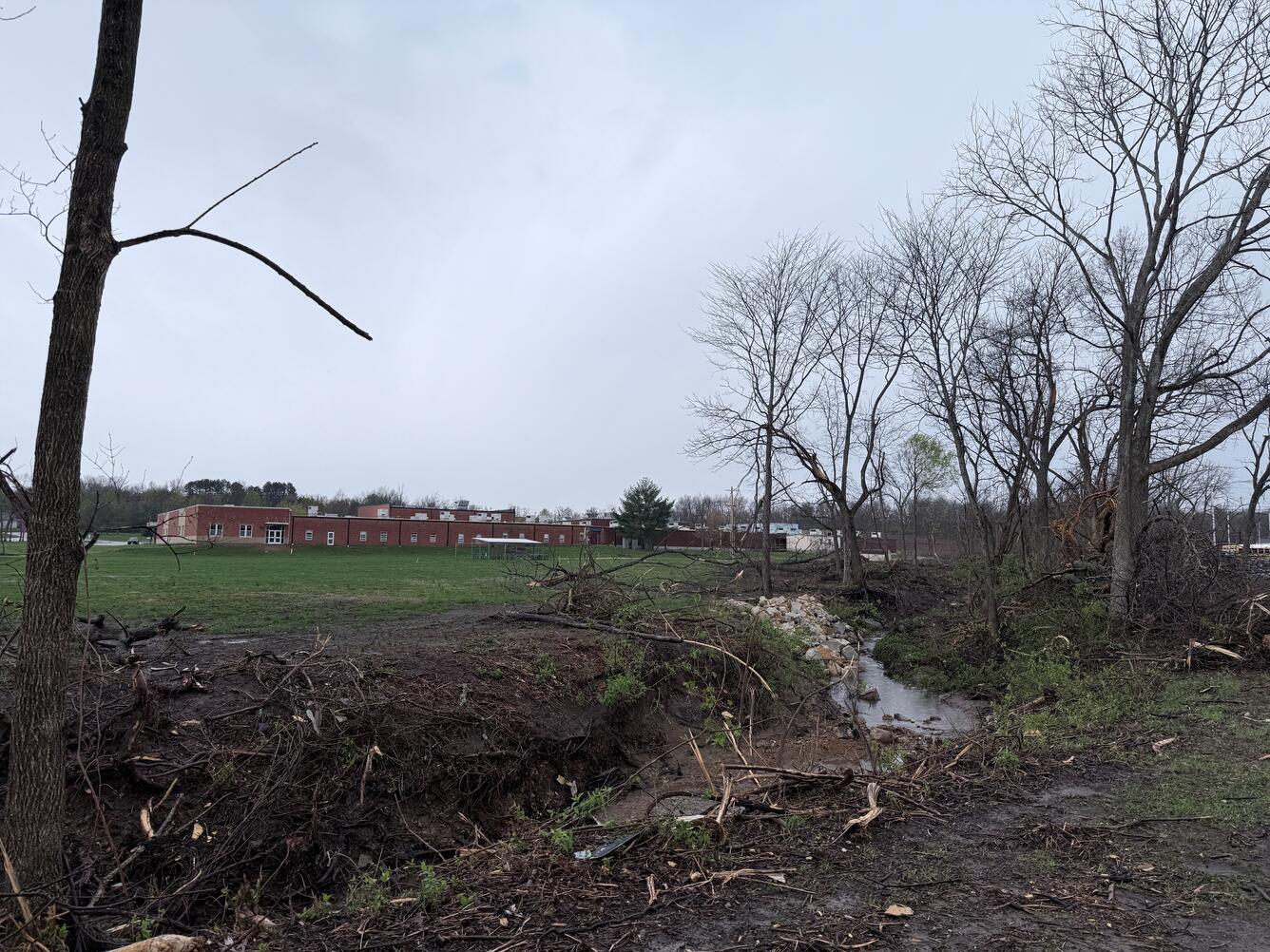Tree debris collected along Burgher Branch