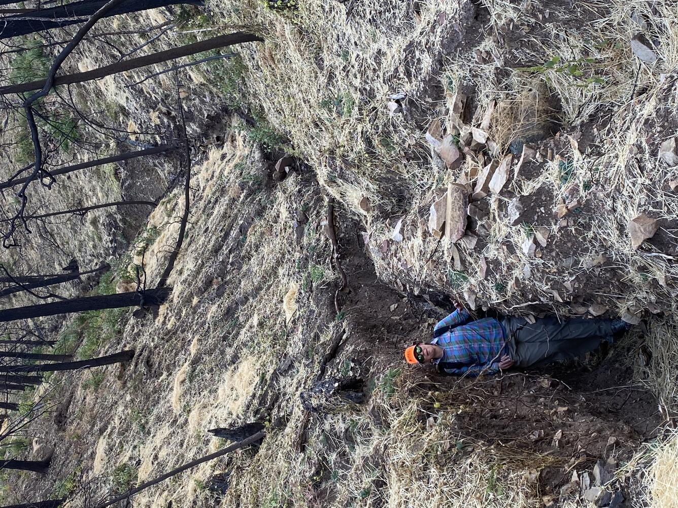 a person stands in a deep narrow channel that is surrounded by burned, leaning trees