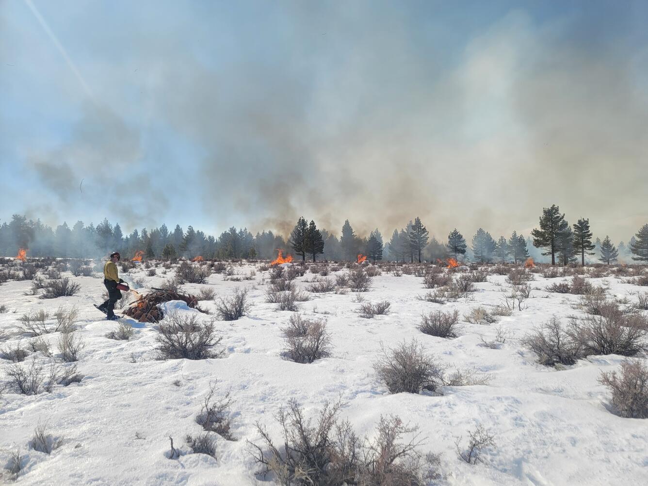 a firefighter ignites a pile of sticks and logs in a snowy landscape. Other piles burn in the background