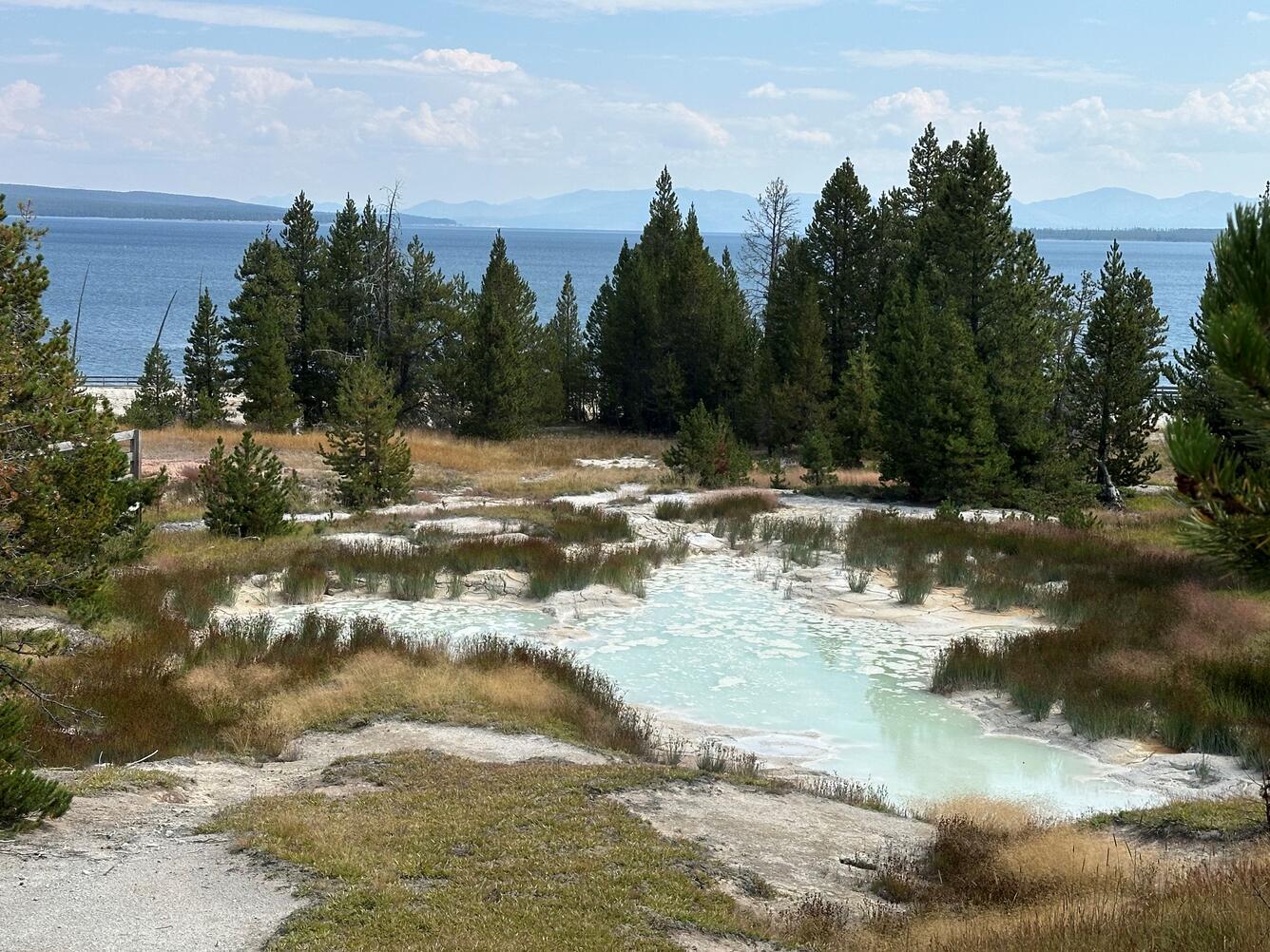Frothy blue-green mud pots surrounded by grassy areas. Trees and Yellowstone Lake in the background under partly cloudy sky.