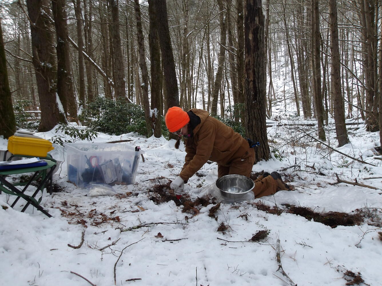 A person with a brown outfit and orange hat takes a soil sample in the woods with snow on the ground.