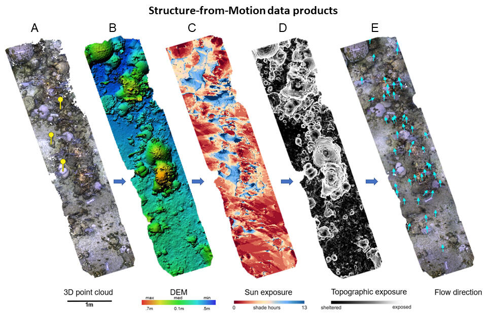 One area of a coral reef shown using five different scientific mapping techniques