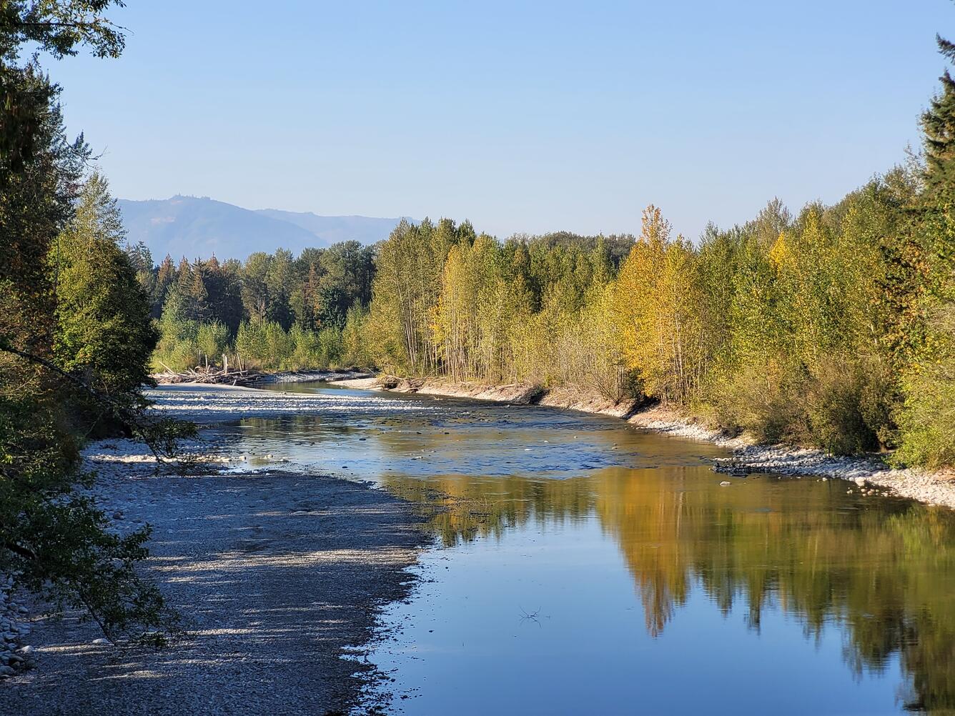 River with fall foliage and mountains in background