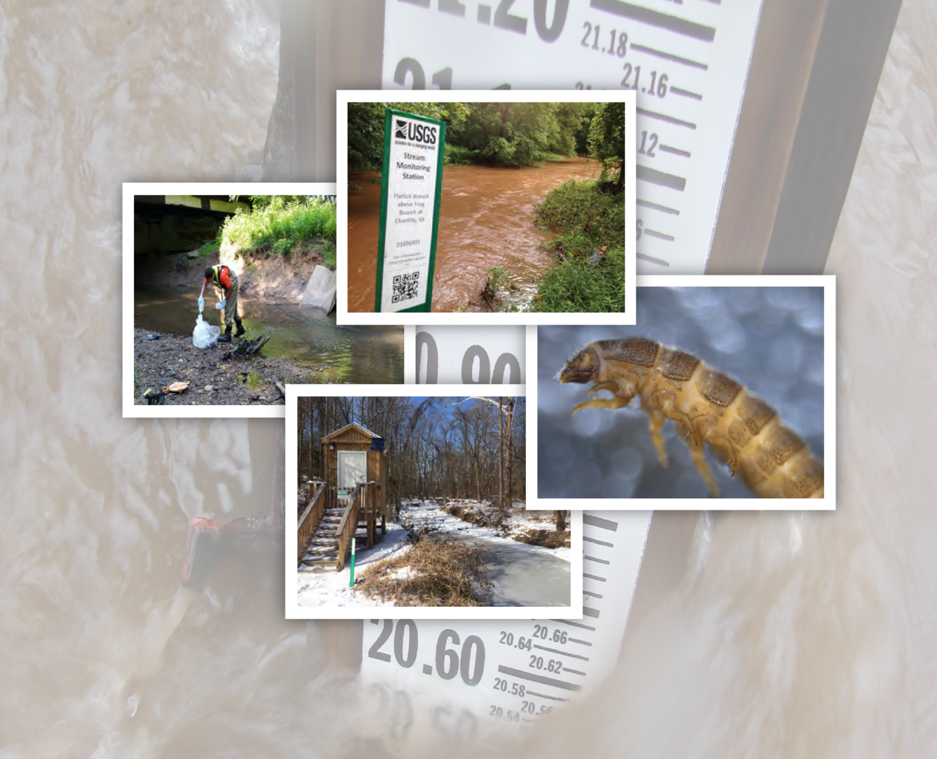 Spatial and Temporal Patterns in Streamflow, Water Chemistry, and Aquatic Macroinvertebrates of Selected Streams in Fairfax